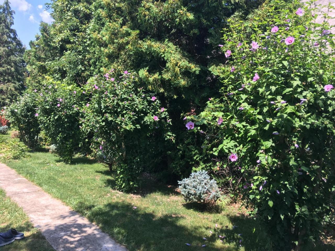 Balatongyörök Villa Terrazza מראה חיצוני תמונה
